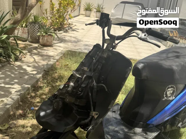 2011 Bajaj V