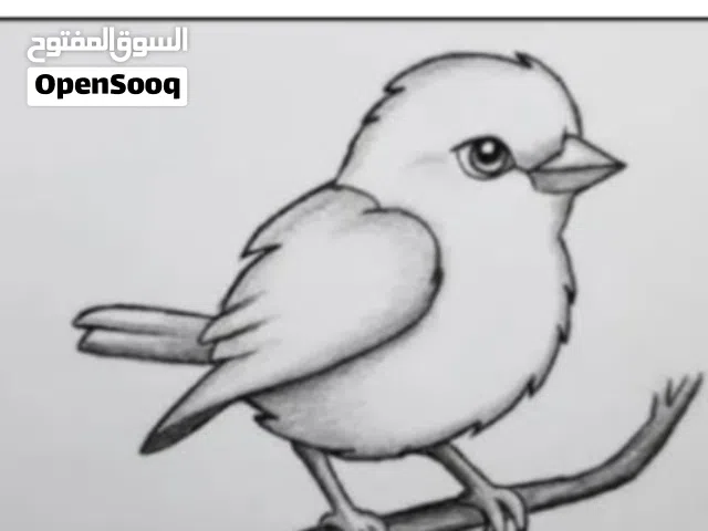 انا برسم  رسمات ع دفاتر ايا رسم بي 15 قرش