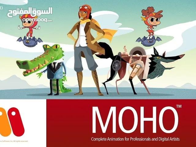 مطلوب ممول لإنشاء شركة رسوم متحركة 2d و3d