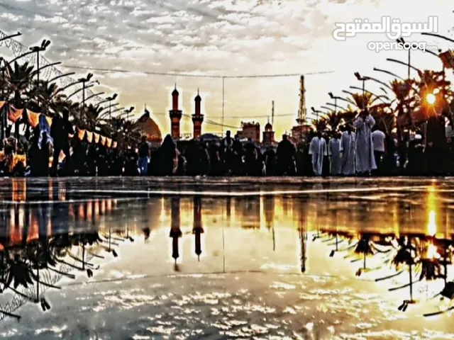 صور تحفيه الامام علي عليه السلام