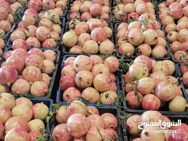 رمان يمني درجه اولى بسعر جملة الجمله