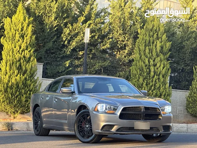 Used Dodge Charger in Amman