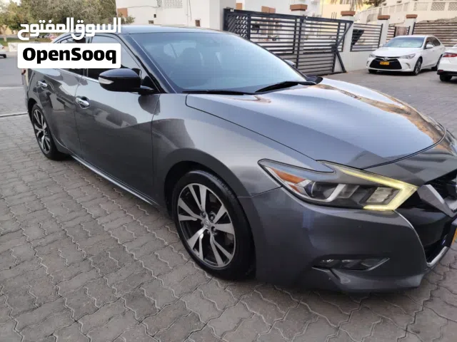 نسيان مكسيما2017