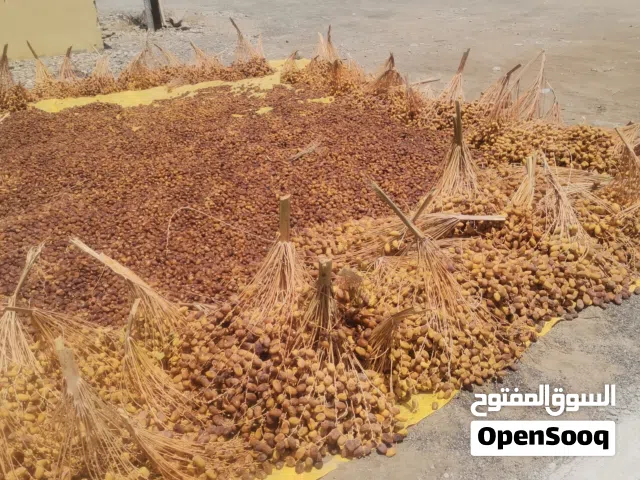 نفيعة مباسلي جديد كمية متوسطة جواني أبو دلة جديدة