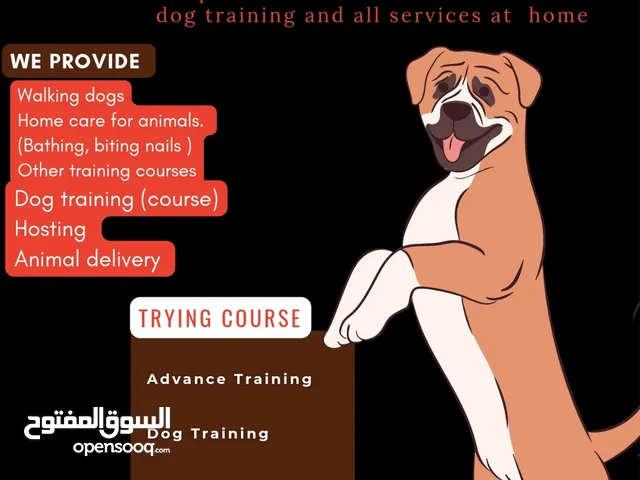 DR/ Training for cat and dogs