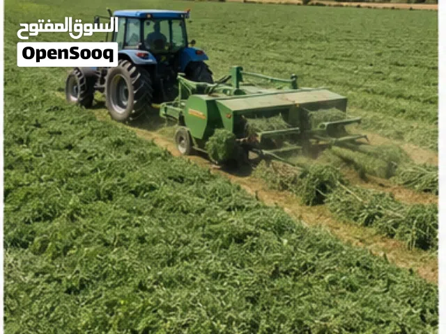 فرصة استثمارية في مشروع زراعة وتسويق البرسيم