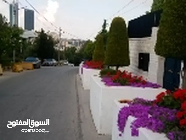 80 m2 Studio Apartments for Rent in Amman 4th Circle