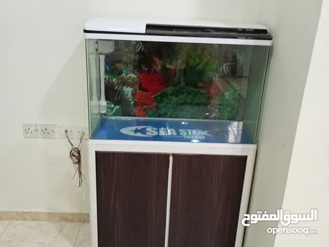 35 me by 40 liter fish tank with all accessories available