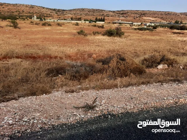 ارض على الرئيسي الجديد بعد معسكر سيدي خليفة