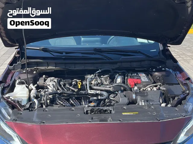 التيما 2023 للبيع