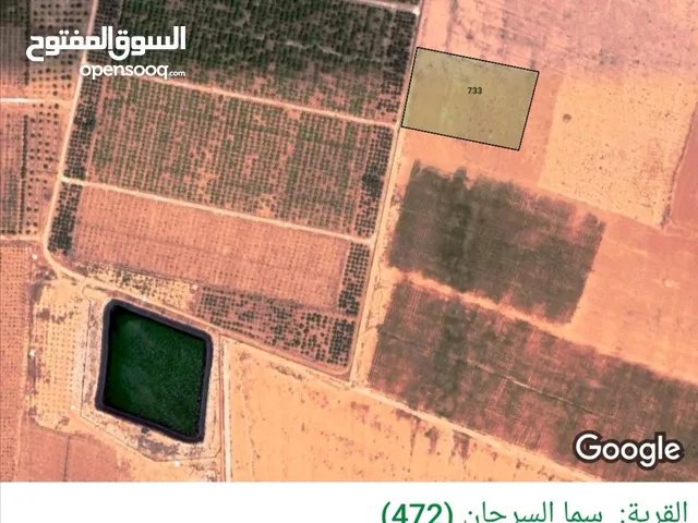 Farm Land for Sale in Mafraq Sama As-Sirhan