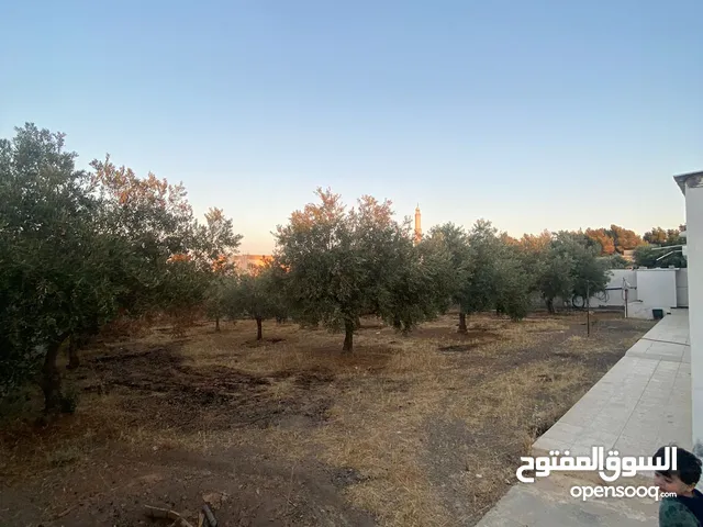 Mixed Use Land for Sale in Tafila Al-Ayes