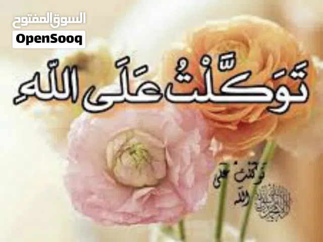 شقة لعائلة صغيرة