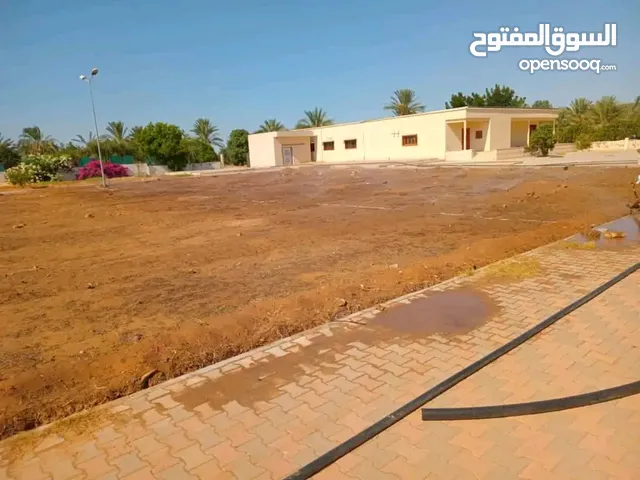 معرض اللمسة الخضراء