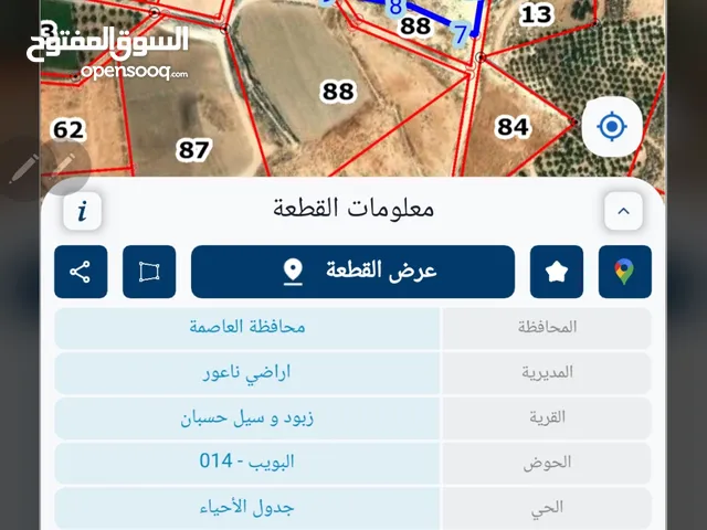Farm Land for Sale in Amman Naour