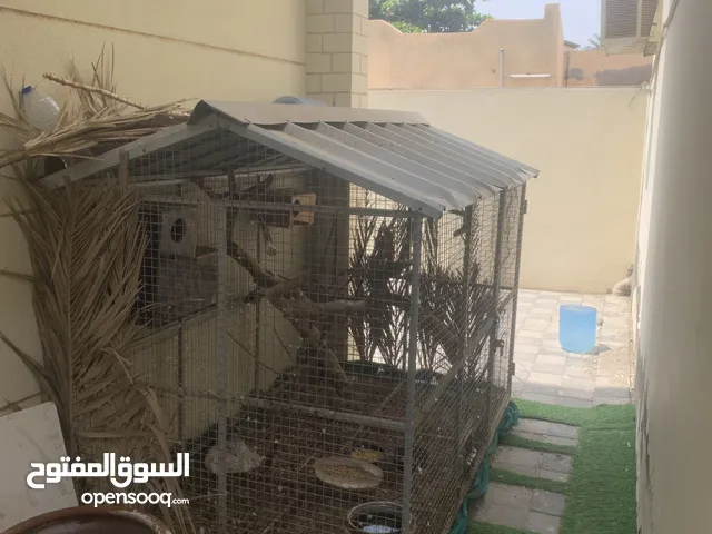 للبيع قفص طيور