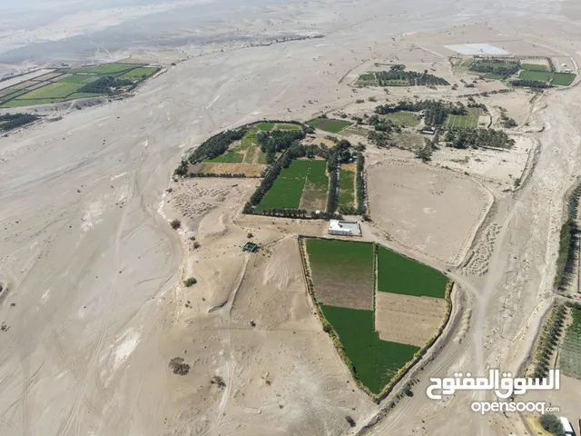 3 Bedrooms Farms for Sale in Al Dhahirah Dhank