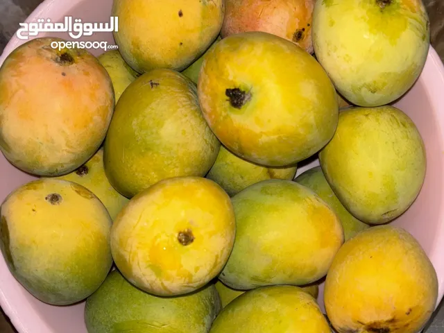 مانجو زعفراني محلي للبيع