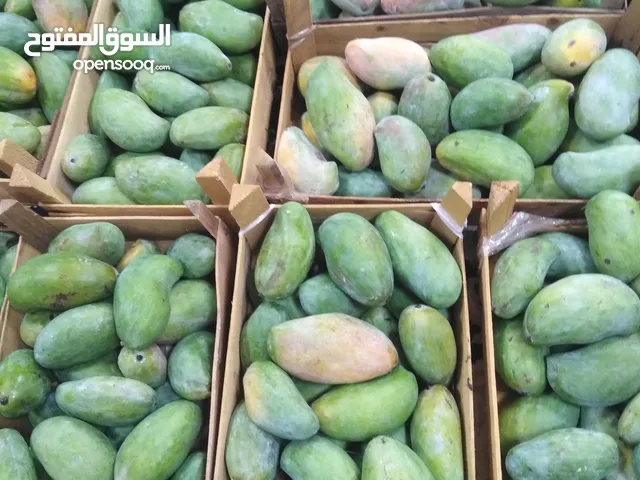 همبأ جميع الأصناف
