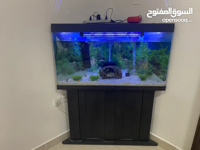 حوض سمك مرتب للبيع اقراء الوصف