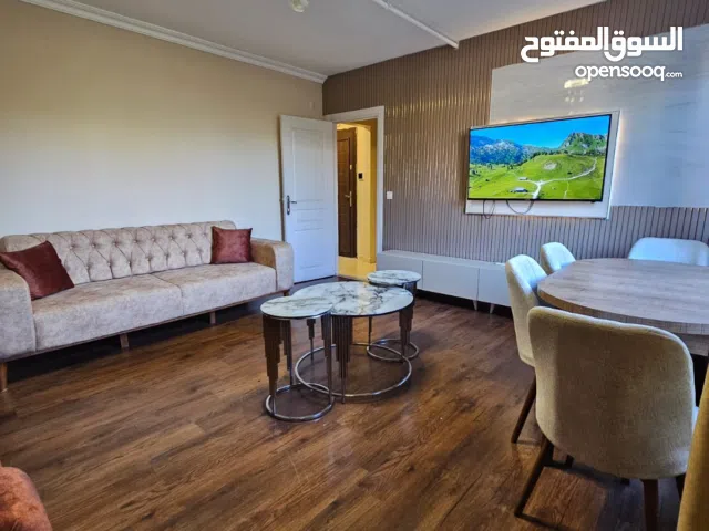 Furnished Daily in Istanbul Şişli