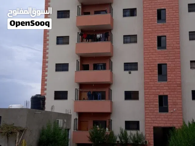 اسكان الناصر