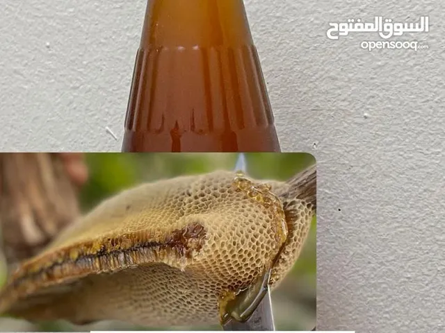 عسل برم ابو طويق انتاج 2025