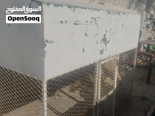 للبيع قفص معدني يصلح للطيور والحيوانات
