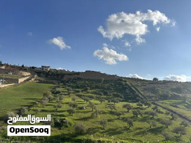 Farm Land for Sale in Zarqa Sarout
