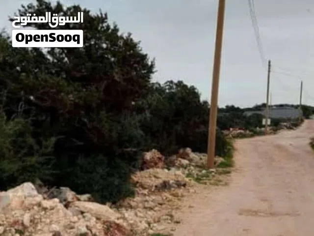 Farm Land for Sale in Jebel Akhdar Bayda