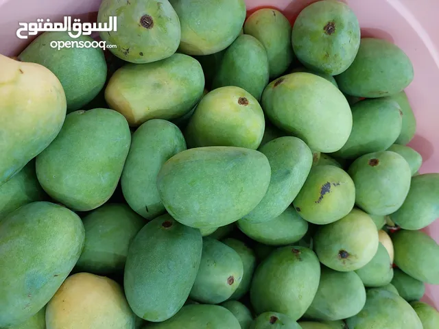 مانجو للبيع