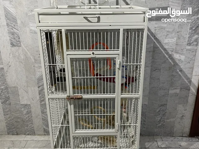 قفص حجم كبير مكاو مستعمل شهر
