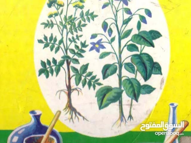 عبد الكريم رجبي