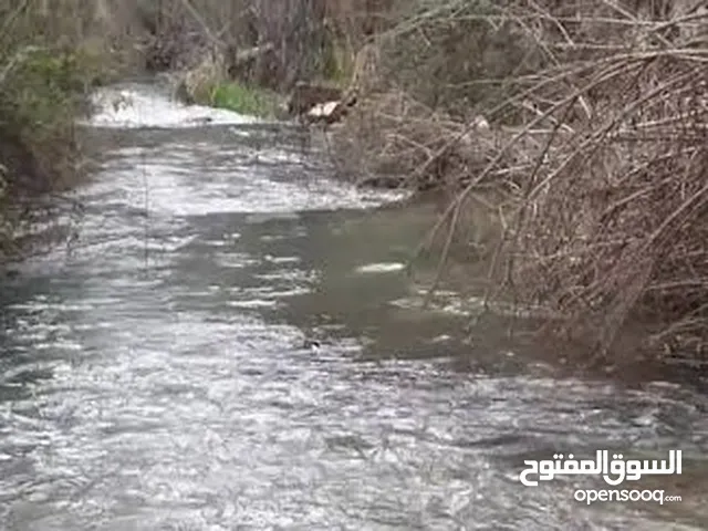 Mixed Use Land for Sale in Zahle Jdita
