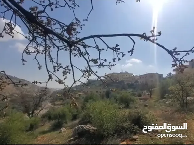 Residential Land for Sale in Amman Badr