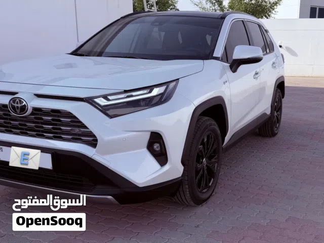 2025 Toyota rav4 hybrid