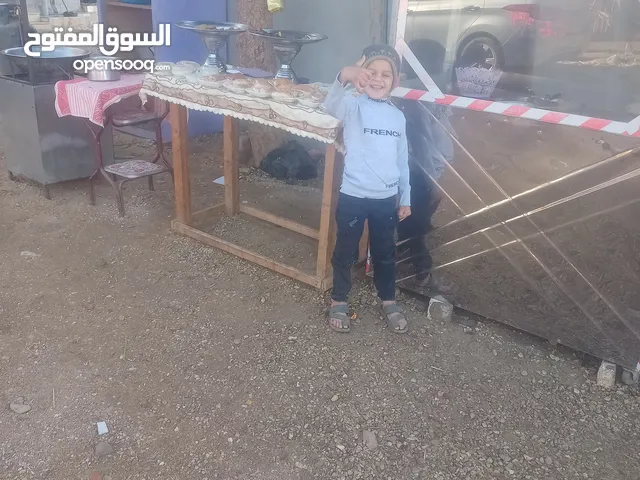 معده مطعم فول وطعميه