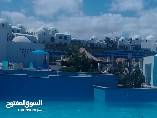 انس  خالد خليفه