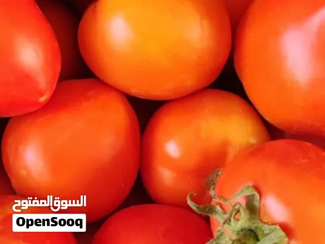 طماطم فراش طازجة و ممتازة