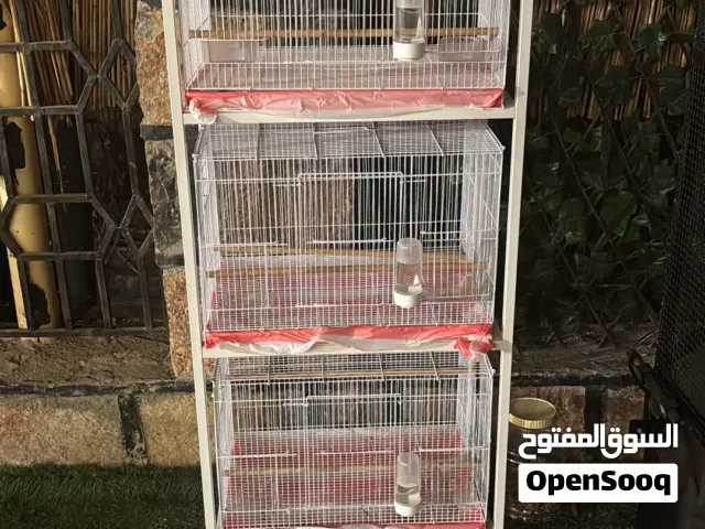 أقفاص مع الاستناد و المشربيات