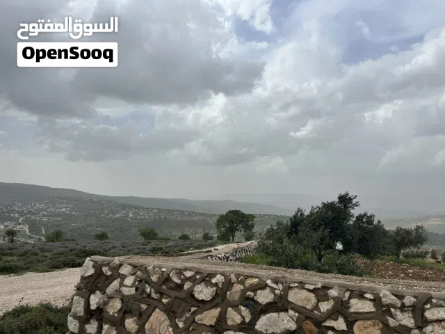 2 Bedrooms Farms for Sale in Zarqa Al-Alouk