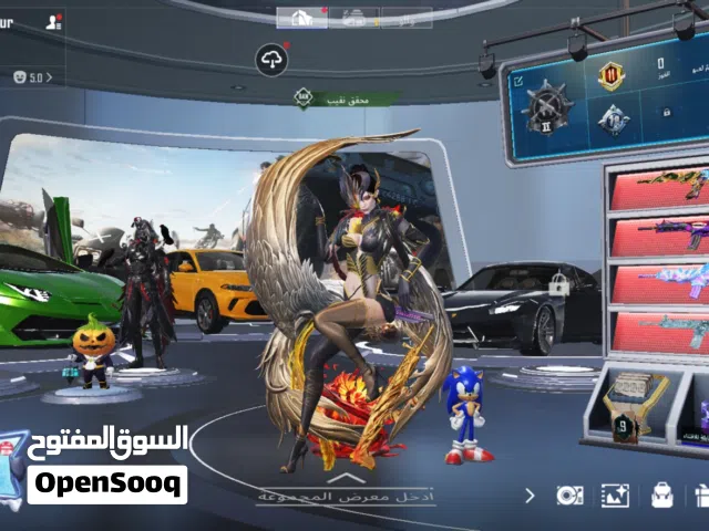 حساب ببجي لفل86
