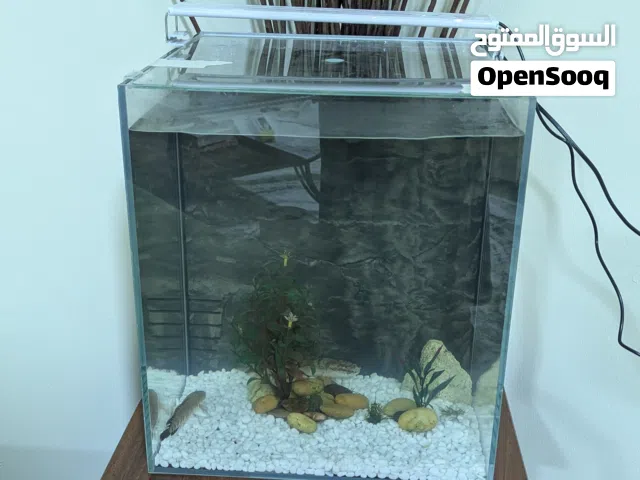 Aquarium for sale
