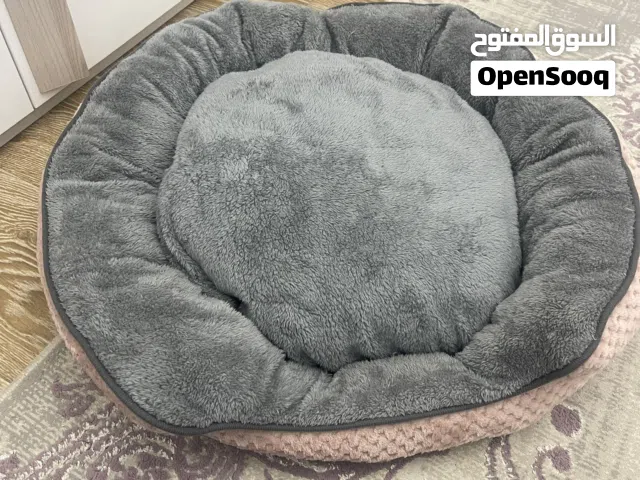 مستلزمات قطط