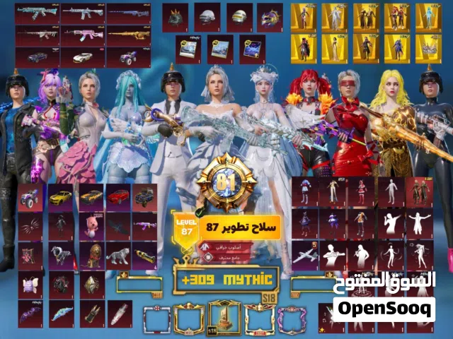 Pubg Accounts and Characters for Sale in Al Batinah