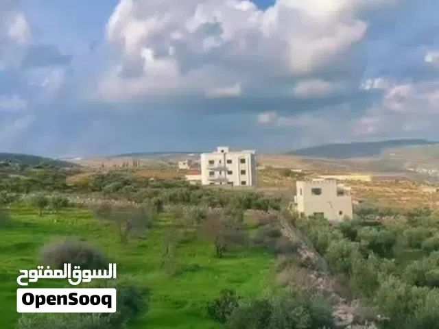 Mixed Use Land for Sale in Nablus Taluza