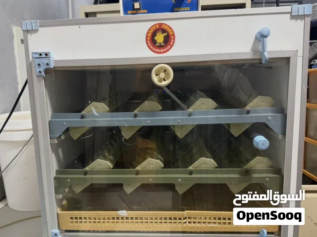 فقاسه تيلنديه 144 بيضه