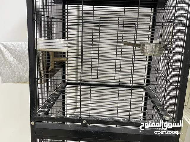 Big and small cages in very good condition for birds are available and also stands for birds