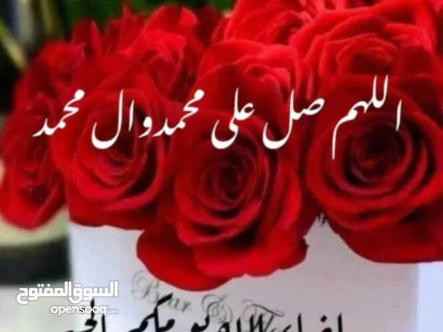 Used BAIC Senova X Series in Qadisiyah