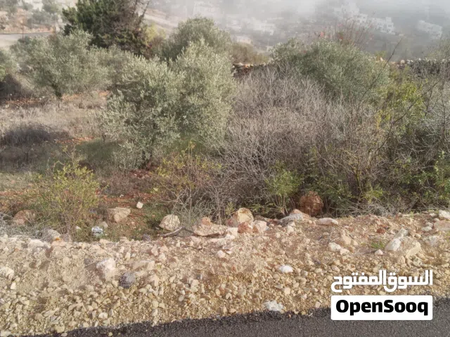 ارض للبيع سوادا الشمالي